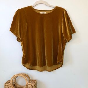 Madewell gold velour batwing top, cropped